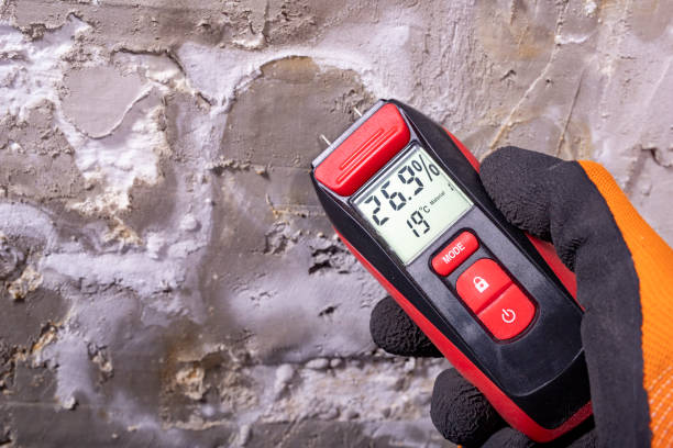 Mold Removal Process in Colfax, LA